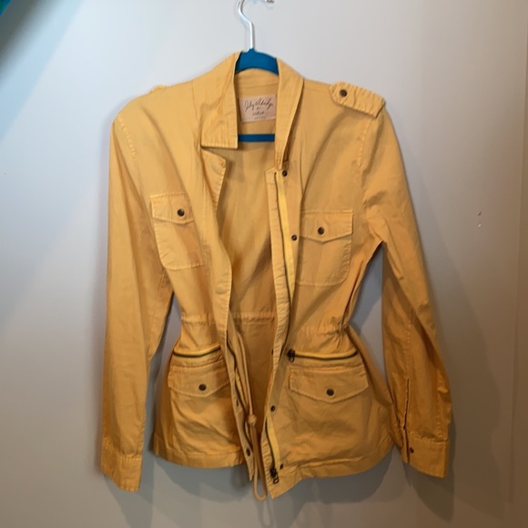 Yellow jacket - Picture 3 of 4